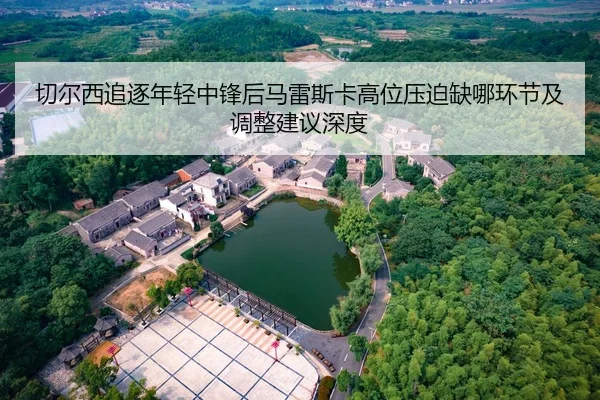 qie-er-xi-zhui-zhu-nian-qing-zhong-feng-hou-ma-lei-si-ka-gao-wei-ya-po-que-na-huan-jie-ji-tiao-zheng-jian-yi-shen-du-2-608.jpg