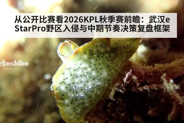 从公开比赛看2026KPL秋季赛前瞻：武汉eStarPro野区入侵与中期节奏决策复盘框架